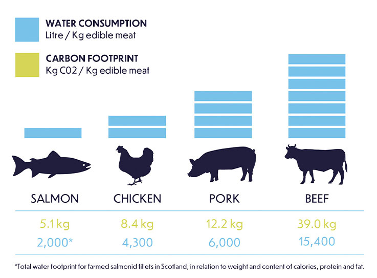 Salmon,<br/>a sustainable protein choice